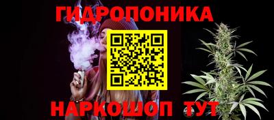 шишки Донецк