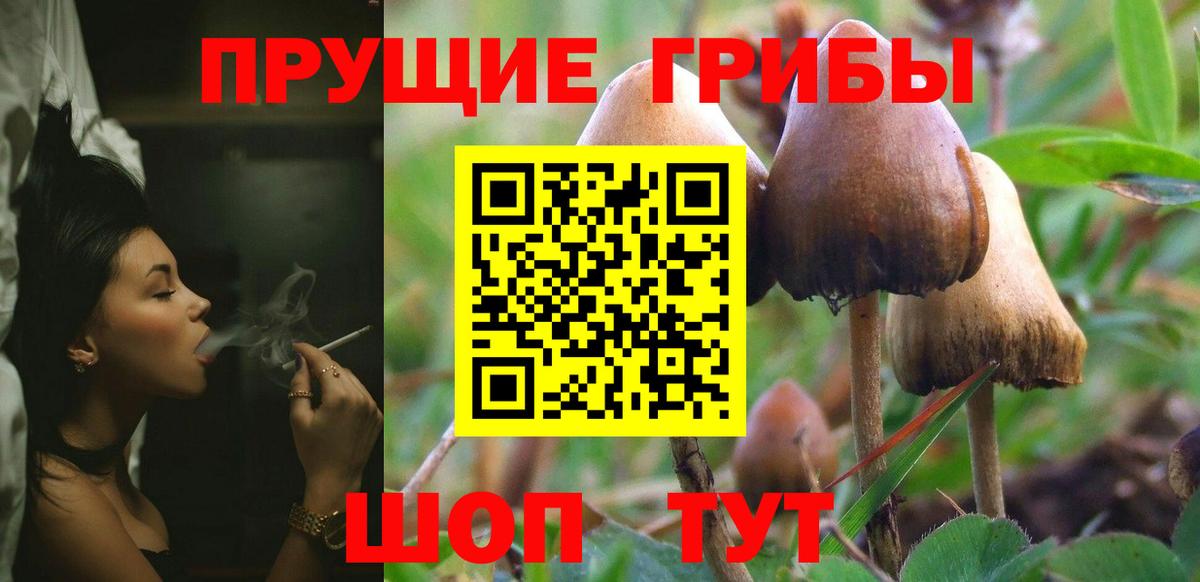 Красный Сулин  Псилоцибиновые грибы Psilocybine cubensis  цена наркотик  Вход с VPN 