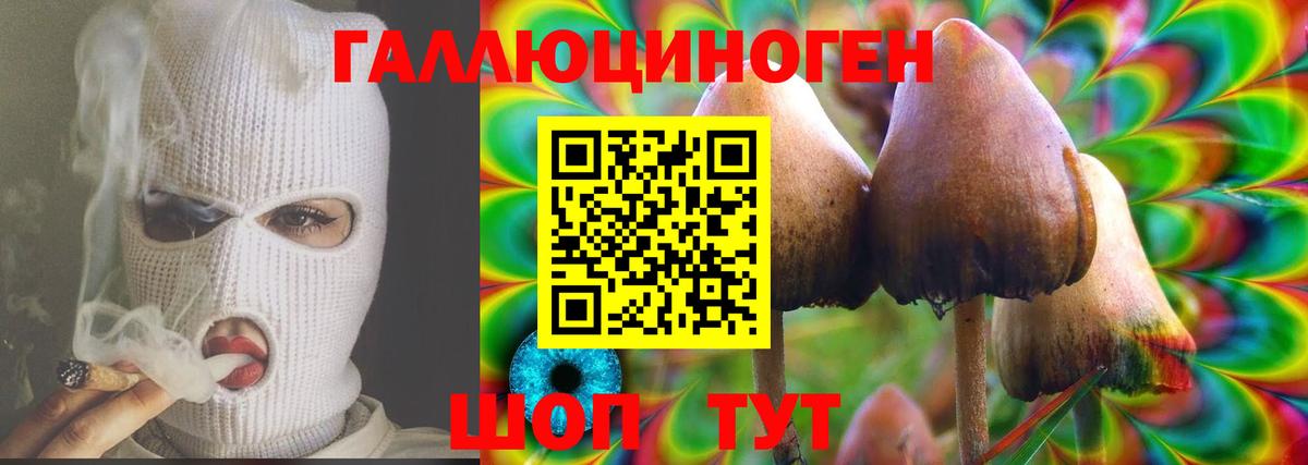 Псилоцибиновые грибы мухоморы Красный Сулин